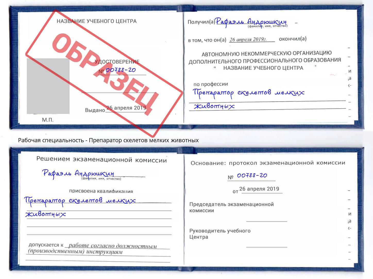 Препаратор скелетов мелких животных Новосибирск