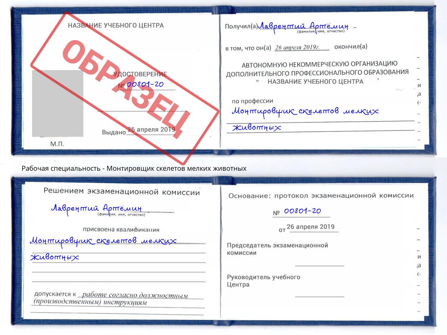 Монтировщик скелетов мелких животных Новосибирск
