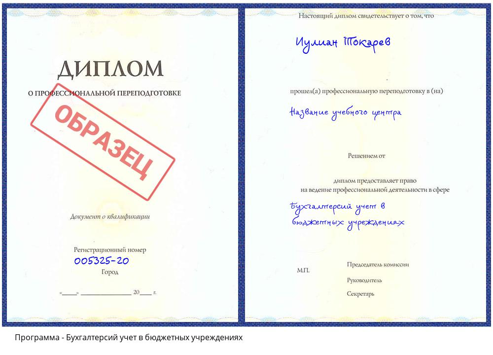 Бухгалтерсий учет в бюджетных учреждениях Новосибирск