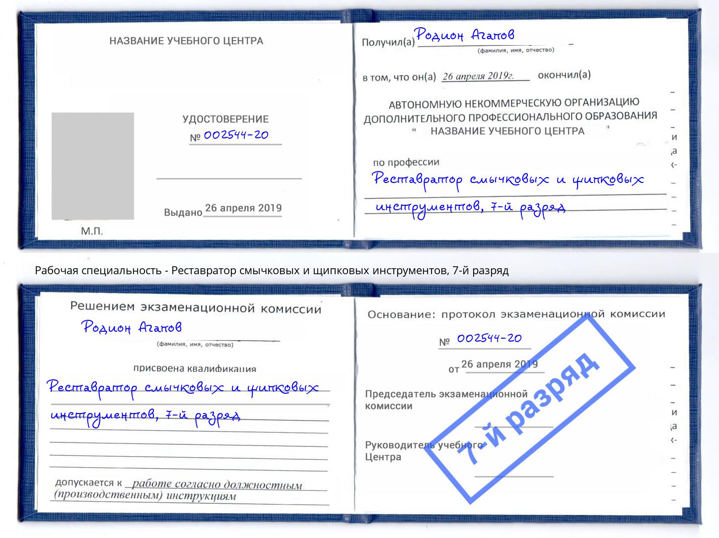 корочка 7-й разряд Реставратор смычковых и щипковых инструментов Новосибирск