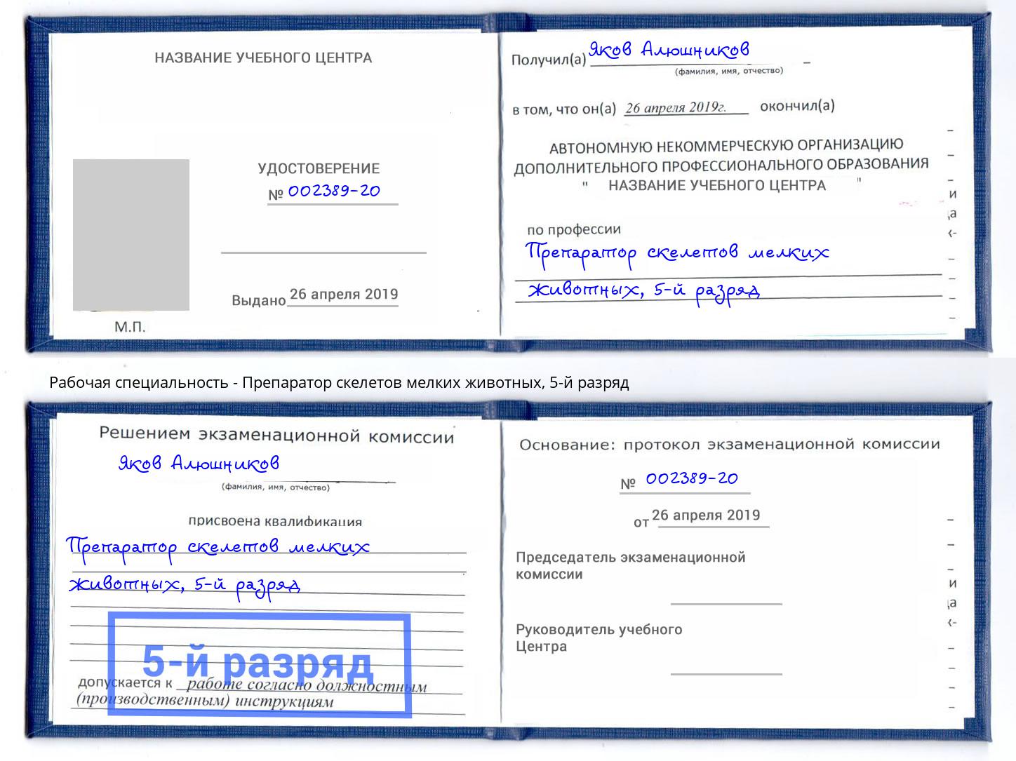 корочка 5-й разряд Препаратор скелетов мелких животных Новосибирск
