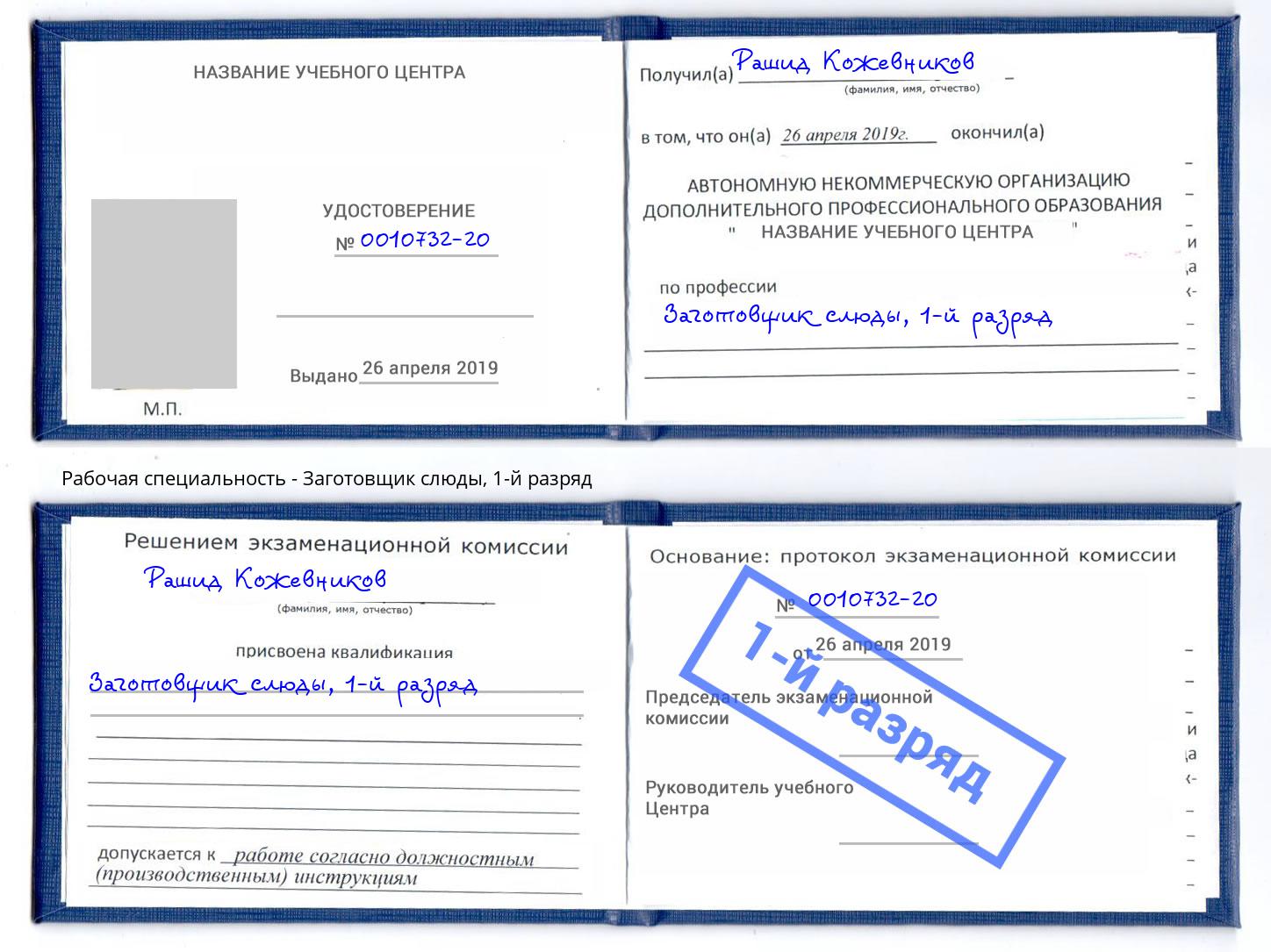 корочка 1-й разряд Заготовщик слюды Новосибирск